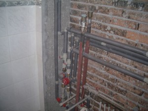IMGP0052