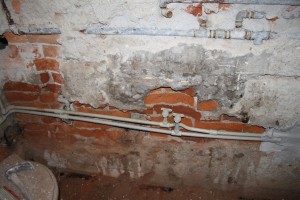 IMG 0540