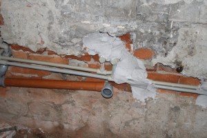 IMG 0572