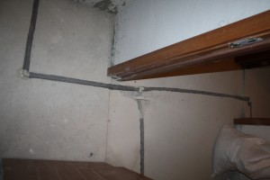 IMG 2642
