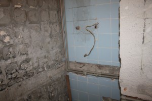 IMG 5539
