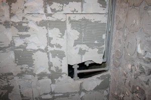 IMG 5541