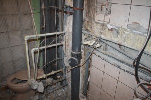 IMG 7145