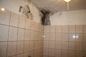 IMG 7150