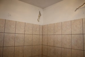 IMG 7152