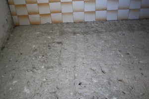 IMG 7304
