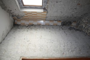 IMG 7313