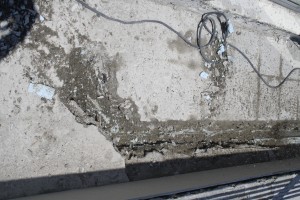 IMG 7473