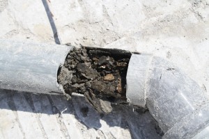 IMG 7475