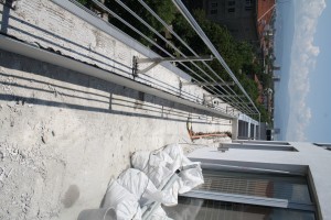 IMG 7484