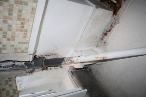 IMG 7581