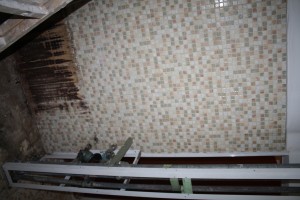IMG 7583