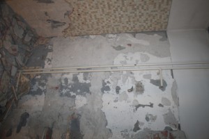 IMG 7585