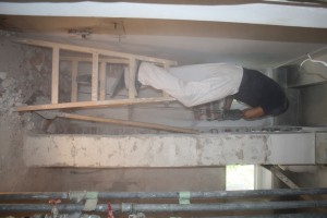 IMG 7661