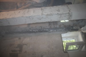 IMG 7664