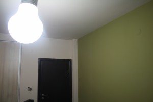 IMG 3710