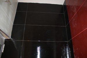 IMG 0445  