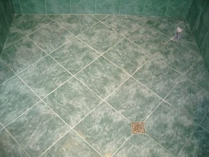 IMGP0077