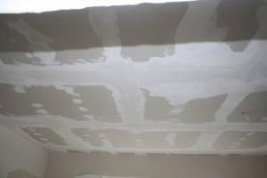 IMG 7541