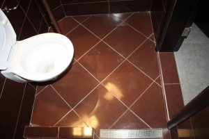 IMG 1380