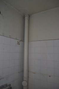 DSC 1007 