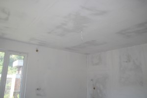 IMG 0690