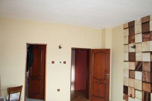 IMG 7334 