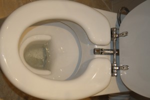 IMG 8390