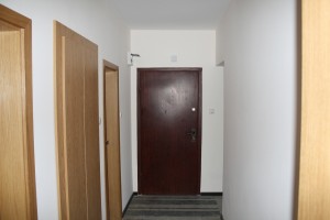 IMG 6339