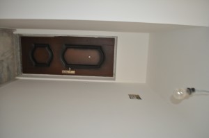 DSC 0924