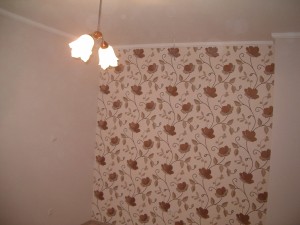IMGP0061