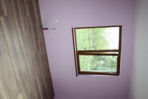 IMG 0419