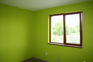 IMG 0427