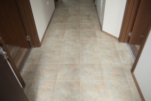 IMG 0441