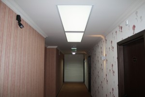 IMG 0831