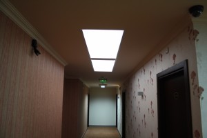 IMG 0834