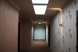 IMG 0836