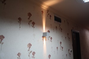 IMG 0850