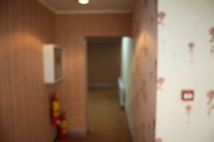 IMG 0887