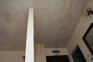 IMG 0925