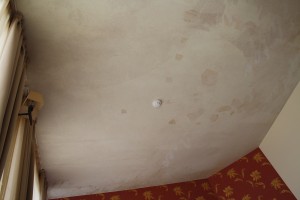 IMG 0926