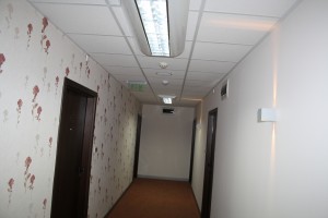 IMG 0941