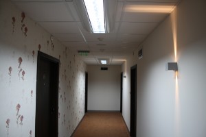 IMG 0942