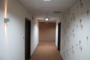 IMG 0951