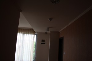 IMG 0975