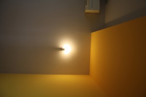 IMG 1953