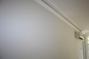 IMG 2510
