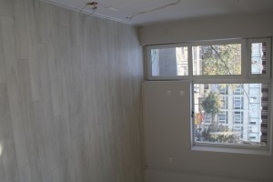 IMG 2554