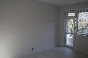 IMG 2555