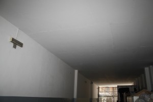 IMG 3655